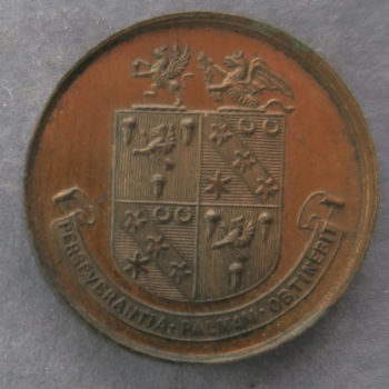Lucas Tooth Boys Training Fund medal for efficiency - Bronze c.1913-20's