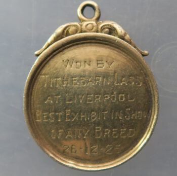 MB109227 GB Liverpool Dog Show prize medal terrier 1925