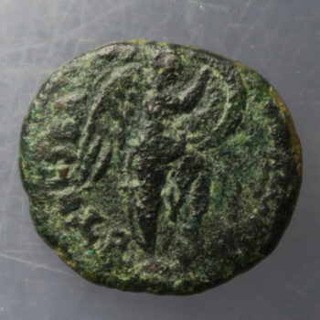 Domitian, AE20 of Pella, Decapolis. 6.10 gm. Dated year 145 = 82/3 AD.