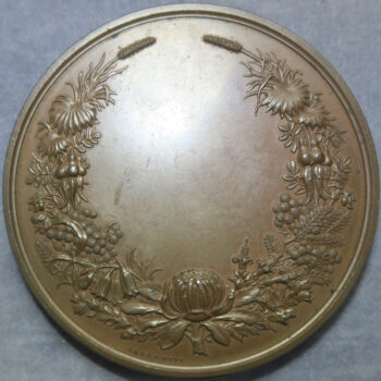 Australia Sydney NSW International Exhibition 1879 large bronze medal - Image 2