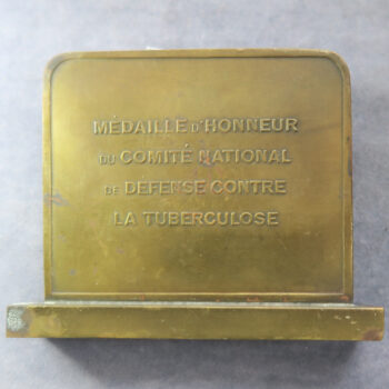 Tuberculosis  France - National  Committee of defence against Tuberculosis  standing medal by H Dropsy