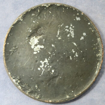 Dr Adolphe Thuviln 1855-1633 portrait by V. Canale copper electro-formed uniface medical medal France