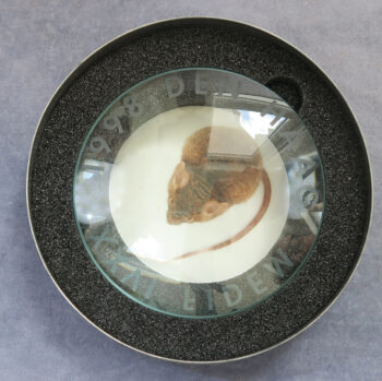 MB110007 Netherlands Maan en Muis (Moon and Mouse) by Mirjam Mieras for Fidem Congress 1998 interactive multimedia medal