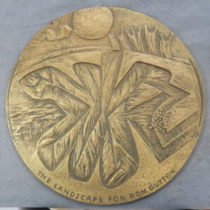 Sunlit landscape for Ron Dutton bronze medal