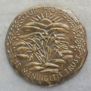 The Meningitis Trust Cast bronze art medal Ron Dutton Grief & Hope 1991- RD177