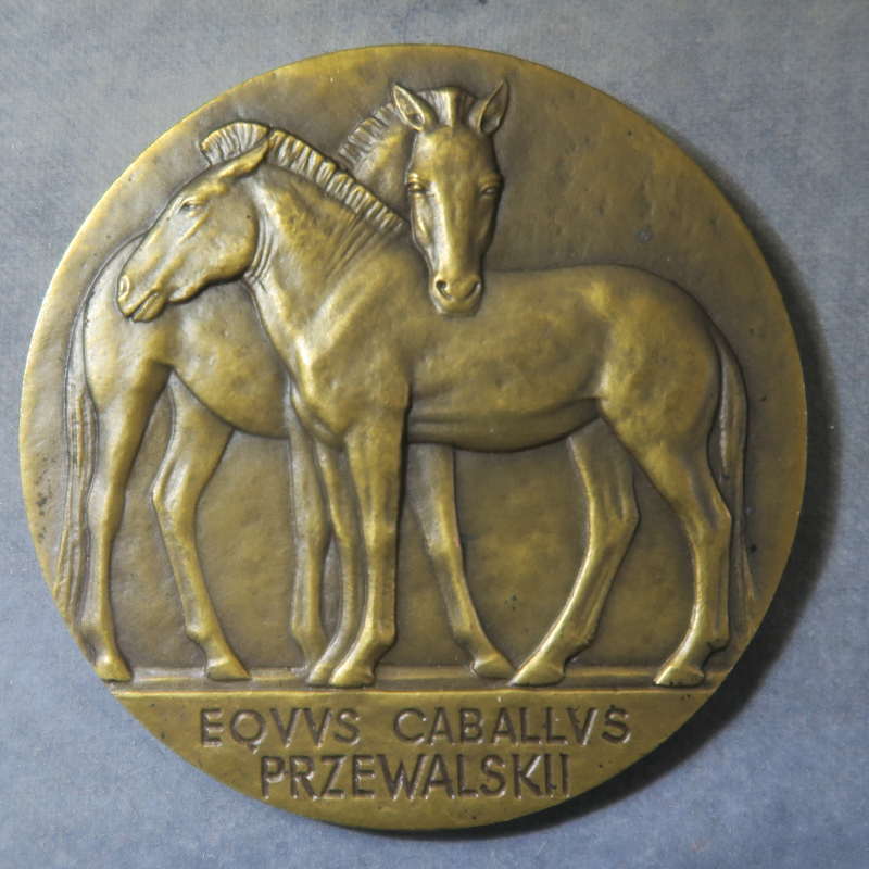medal by A. Témont Professeur Édouard Bourdelle Muséum d’histoire naturelle Paris rev. Przewalski's horse 1946